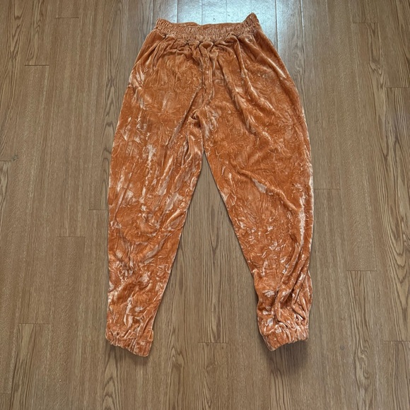 Urban Outfitters Aurora Crushed Velvet Joggers - Picture 2 of 6